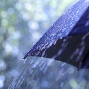 Погода в Туле на вторник, 15 сентября: +15 и небольшой дождь