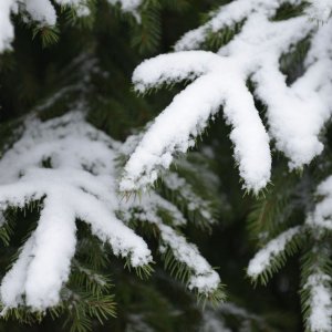 Погода в Туле 23 января: пасмурно, небольшой снег и лёгкий мороз