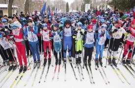 «Лыжня России-2020» в Туле пройдет на косогорской лыжероллерной трассе