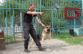 В центре Тулы спасатели, полиция и кинологи изучали бесхозный пакет с вещами