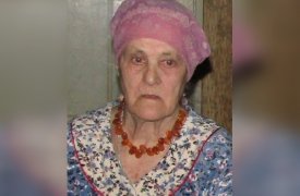 В Тульской обасти пропала 82-летняя женщина