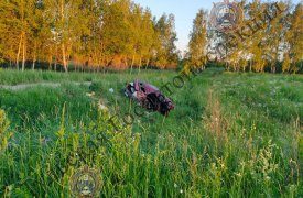 ДТП в компании пьяных мужчин под Тулой закончилось смертельным исходом