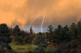 Гроза и сильный ветер: на 1 июля в Тульской области объявлено метеопредупреждение