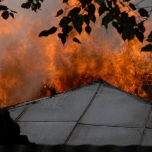 В Тульской области объявлена высокая пожароопасность