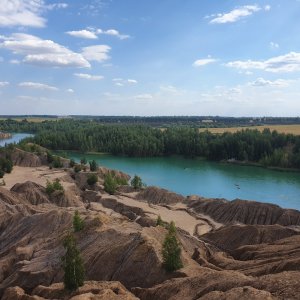 В тульских Кондуках туристы вырубают березы