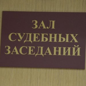 Туляк подал в суд на городскую администрацию из-за упавшего на его машину дерева