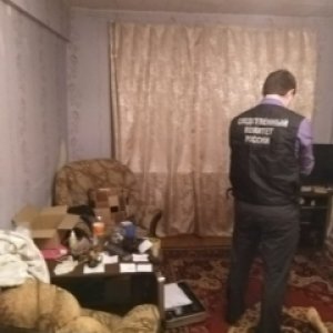 Житель Новомосковска отправится под суд за убийство подруги и насилие в отношении полицейского