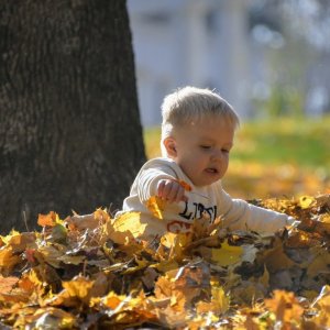 Погода в Туле 17 сентября: лето вернется на один день