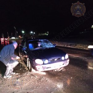 В Туле на Алексинском шоссе водитель иномарки сбил женщину