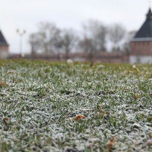 В Тульской области ударили первые заморозки