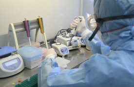 За сутки в Тульской области умерли 2 человека с коронавирусом