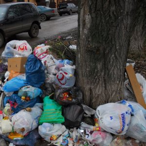 По требованиям прокуратуры в Щекинском районе ликвидированы свалки