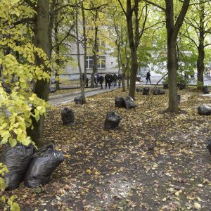 Не жечь костры: в Тульской области сохраняется высокий уровень пожароопасности