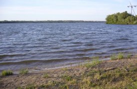 Повышение уровня воды в реке Воронке в Туле: виновниками назвали бобров