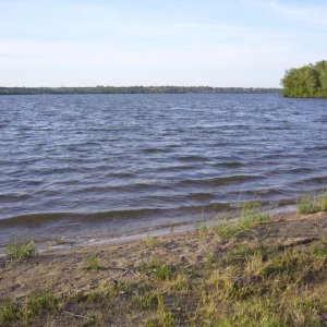 Повышение уровня воды в реке Воронке в Туле: виновниками назвали бобров