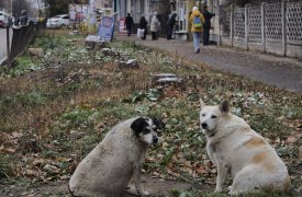 Тулячку ебут в сочи порно видео