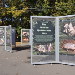 ЦПКиО и тульский Экзотариум приглашают на фотовыставку «Под пологом тропического леса»