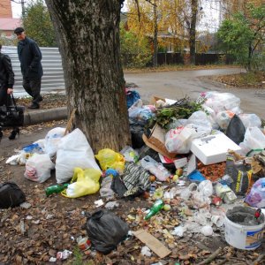 В Заокском районе обнаружили семь стихийных свалок