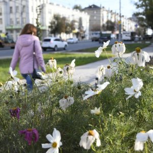 Погода в Туле 29 октября: переменная облачность и +9 градусов