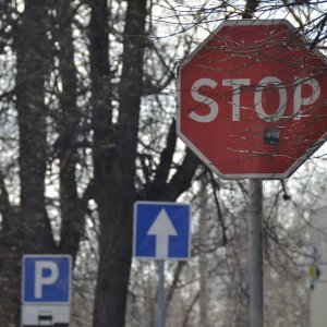 Тульские полицейские поймали богородицкого вора дорожных знаков