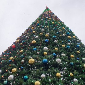 В Туле на пл. Ленина продолжают украшать новогоднюю елку