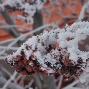 Погода в Туле 2 декабря: морозно и без осадков