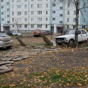 В Донском местный житель задержан за угон автомобилей
