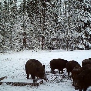 Необычную и одновременно страшную находку обнаружили под Тулой