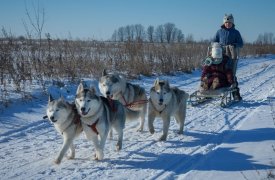 В Тульском регионе пройдет «Большой тур» на Куликовом поле 6 февраля