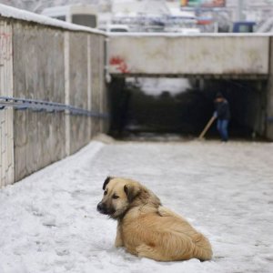 Туляков в ближайшие две недели ждут холода и снег