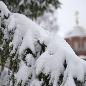 3 февраля в Туле немного потеплеет и выпадет снег