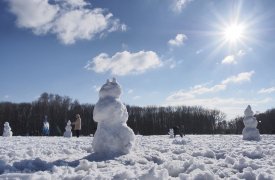 Ночью 16 февраля Тула могла побить температурный рекорд. Не хватило всего 1 градуса