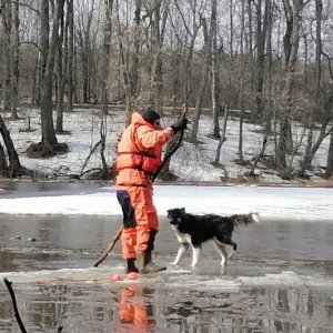 Сотрудники МЧС в Тульской области спасли с льдины собаку