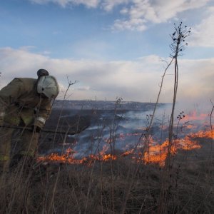 С 16 апреля в Тульской области в связи с резким повышением температуры вводится особый противопожарный режим