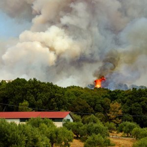 В Тульской области ожидается 4 степень пожароопасности: спасатели объявили метеопредупреждение