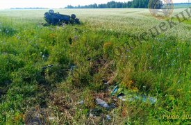 Девочка-подросток погибла в ДТП в Тепло-Огаревском районе