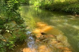 В Туле ржавая вода вливается в Тулицу и заливает Чулковское кладбище