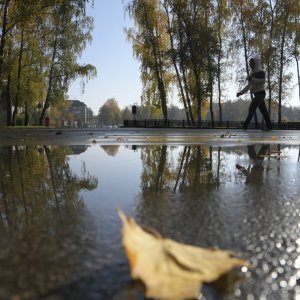 Дождь, низкое давление и до +17 градусов: погода в Туле 2 сентября