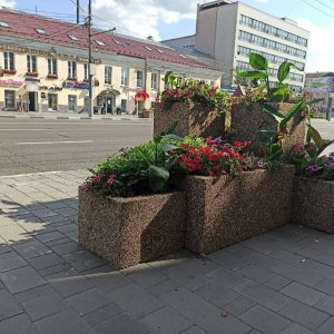 Озеленение проспекта Ленина в Туле: жители города могут принять участие в конкурсе дизайн-проектов