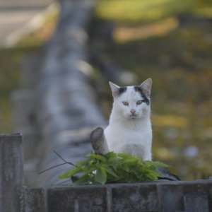 В Туле до +15 и дождь: тепло вернется только через две недели