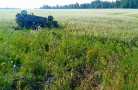 Смертельное ДТП с погибшей 15-летней девочкой в Тепло-Огаревском районе: дело передали в суд