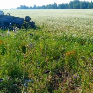 Смертельное ДТП с погибшей 15-летней девочкой в Тепло-Огаревском районе: дело передали в суд