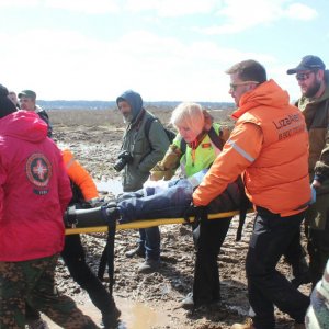 За август в Тульской области нашли живым 51 пропавшего человека