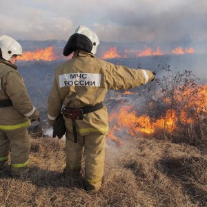 Высокая опасность пожаров: в Тульской области объявили метеопредупреждение