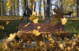 В Тульской области объявили метеопредупреждение из-за сильного ветра