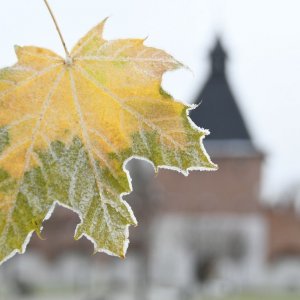 Заморозки до -2 градусов ожидаются ночью 29 и 30 сентября в Тульской области