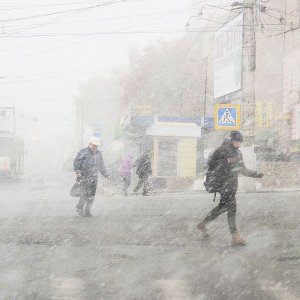 Синоптики: 9 ноября в Тулу могут прийти снег и голоедица