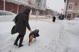 По прогнозам синоптиков, сегодня, 18 декабря, в субботу, в Туле будет до -1 градуса