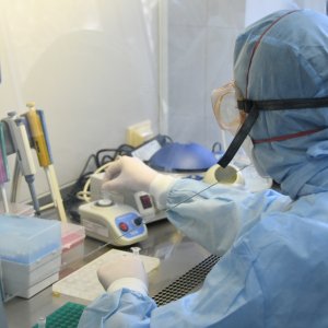 За сутки в Тульской области выявили 1444 новых случая коронавируса