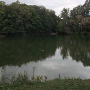 В Платоновском парке Тулы началось восстановление плотины пруда